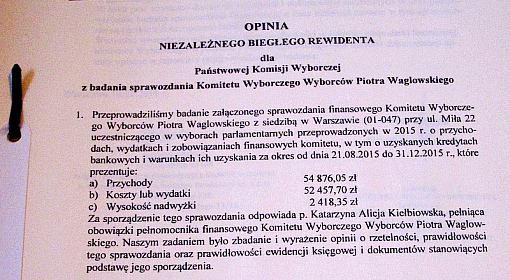 Fragment pierwszej strony opinii biegłego rewidenta